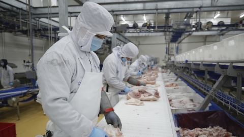 Masan MEATLife bắt tay De Heus tập trung nguồn lực phát triển mảng thịt mát