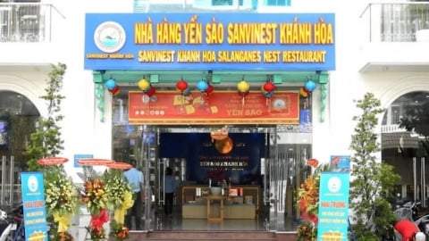 Sanvinest Khánh Hòa: Doanh thu 6 tháng hơn 1.100 tỷ, tăng 10% so với cùng kỳ