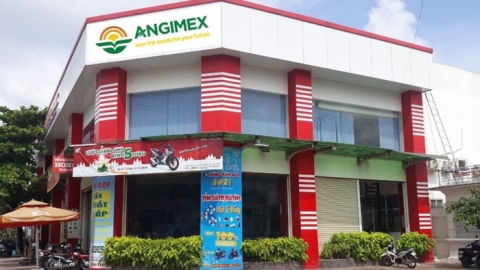 Một nhà đầu tư cá nhân trở thành cổ đông lớn của Angimex (AGM)