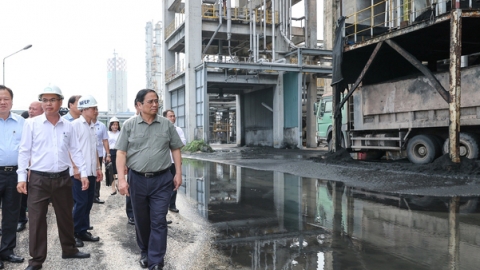 Dự án Đạm Ninh Bình: 'Đi cả nhà máy không có bông hoa nào mà chỉ có than với bùn'