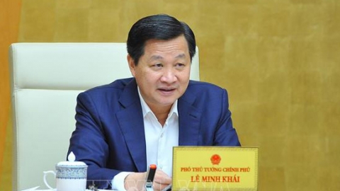 'Trong năm nay phải có phương án xử lý dứt điểm dự án đạm Ninh Bình và DQS'