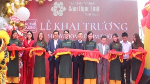 Sâm Ngọc Linh khai trương hệ thống Showroom tại Hà Tĩnh