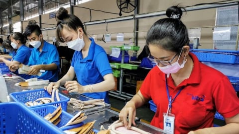 Niềm tin kinh doanh có xu hướng tăng trở lại