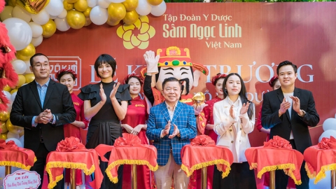 Sâm Ngọc Linh: Công nghiệp hoá 'báu vật đại ngàn'