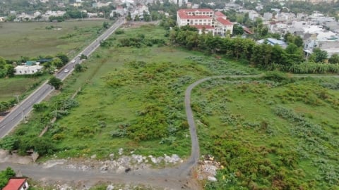 26 ha đất làm Metro Bến Thành - Tân Kiên bỏ hoang, nuôi gia súc