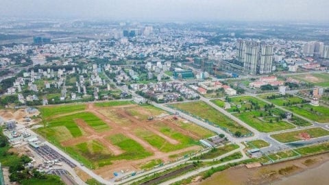 Hà Nội: Thanh tra việc thu hồi đất và chuyển mục đích đất trồng lúa