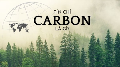 Bán tín chỉ carbon: Không chỉ có rừng và lúa