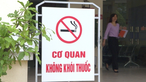 Chung kết cuộc thi 'Tìm hiểu, sáng kiến về phòng, chống tác hại của thuốc lá'