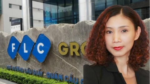 Cựu CEO Lộc Trời bị tố gian dối, Chủ tịch Chứng khoán VIX bị miễn nhiệm