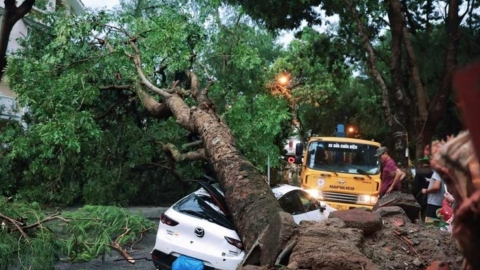 Doanh nghiệp bảo hiểm đầu tiên báo lỗ do ảnh hưởng từ bão Yagi