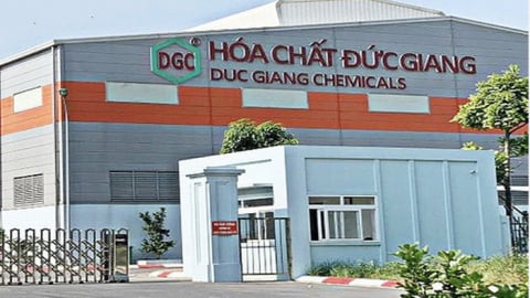 Bố chủ tịch, con tổng giám đốc: Hóa chất Đức Giang có bị phạt như TNG?