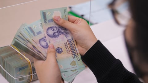 Thoái vốn Nhà nước: 'Mỏi mắt' tìm nhà đầu tư vì định giá cao, sinh lời thấp