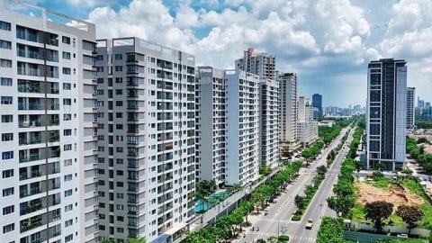 Những ‘cái nhất’ của doanh nghiệp nhà ở mùa ĐHĐCĐ 2025