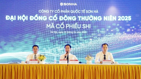 ĐHĐCĐ Sơn Hà: Đặt mục tiêu doanh thu 11.800 tỷ, lãi sau thuế 116 tỷ