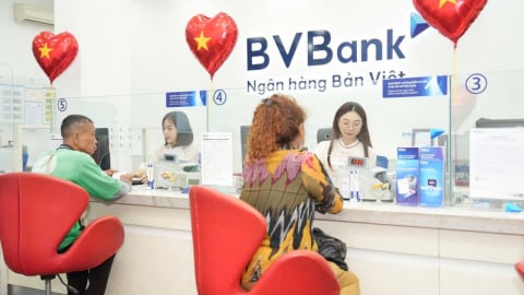 Quý I/2025: BVBank ghi nhận lợi nhuận tăng