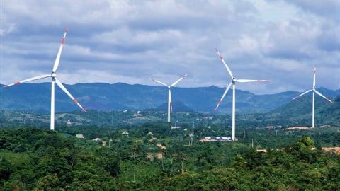 Quảng Trị: Chấp thuận chủ trương đầu tư Nhà máy điện gió SCI Hướng Việt hơn 1.018 tỷ đồng