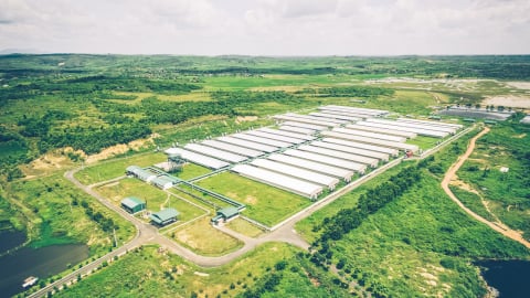 Đại gia chăn nuôi kín tiếng ở Long An lãi 2.100 tỷ, vượt mặt nhiều ‘ông lớn’ trên sàn