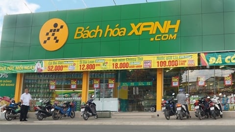Bách Hóa Xanh trao quyền chọn cổ phần để giữ chân lãnh đạo