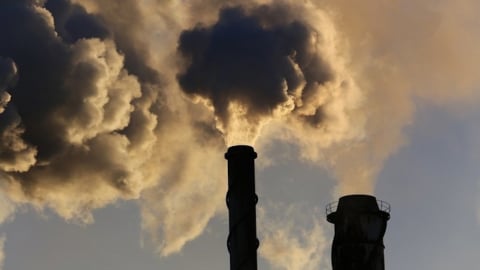 Báo động tình trạng gian lận tín chỉ carbon: Việt Nam cần làm gì?