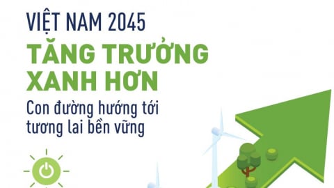 Báo cáo Việt Nam 2045 - Tăng trưởng Xanh hơn: Con đường Hướng tới Tương lai Bền vững