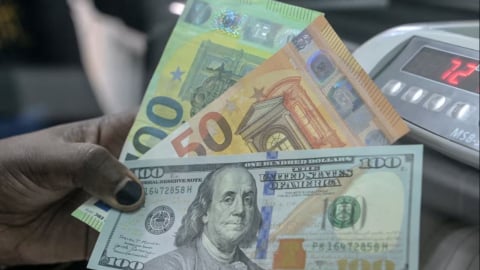 Đồng USD chật vật để phục hồi kể từ 'Ngày giải phóng'