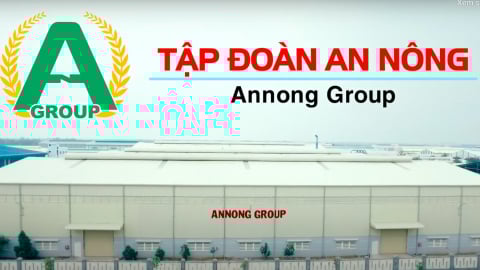 Nợ thuế hơn 21 tỷ đồng, Tập đoàn An Nông bị cưỡng chế