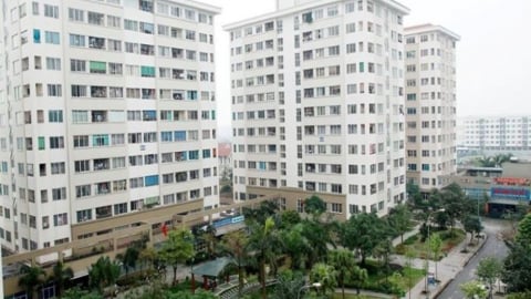 TP.HCM: Thí điểm cho thuê căn hộ dịch vụ ngắn ngày trong chung cư