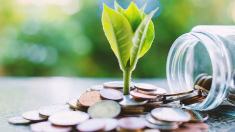 368 tỷ USD cho Net-Zero: Nguồn tiền từ đâu để Việt Nam hiện thực hóa tham vọng 