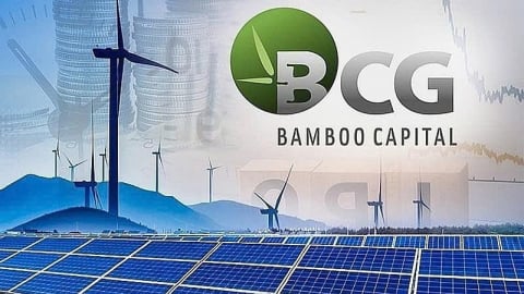 Bamboo Capital thay đổi loạt nhân sự cấp cao