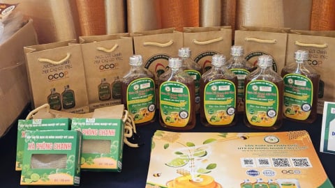 Thưởng 1 tỷ đồng cho các ý tưởng Khởi nghiệp Xanh xuất sắc