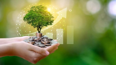 Báo chí khai mở, giữ lửa cho hành trình xanh
