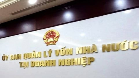 Không còn CMSC, thiết kế lại cách quản lý vốn nhà nước tại DN