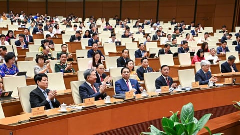 Trung tâm tài chính quốc tế: TP.HCM phát triển thị trường vốn, Đà Nẵng tài chính xanh