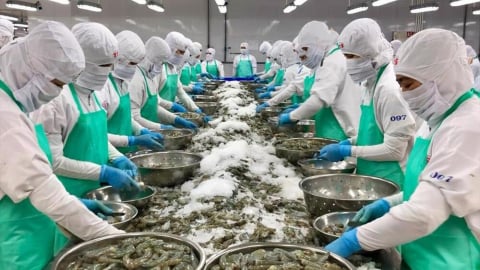 Tận dụng FTA để định vị trong chuỗi giá trị và cung ứng toàn cầu.