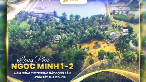 Tập đoàn Đầu tư Việt Long bị cưỡng chế thuế, phong tỏa tài khoản