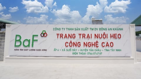 BAF thu lãi kỷ lục nhờ chăn nuôi heo, trắng doanh thu từ thương mại nông sản