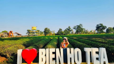Đánh thức những miền đất: Thơ mộng đồi chè Biển Hồ