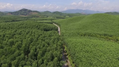 Nghịch lý tín chỉ carbon: Có 'tài sản' không thể bán, có người mua không thể giao dịch