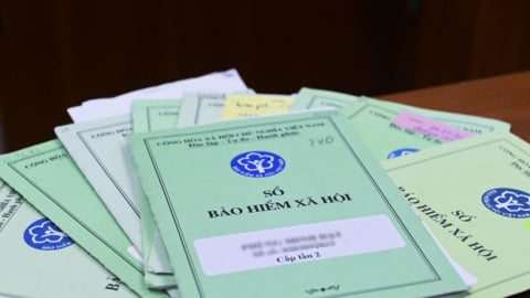 Trốn đóng BHXH, BHYT ở mức nào thì bị xử lý hình sự?