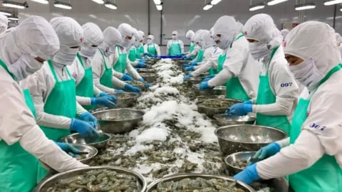 DN đầu tiên báo lỗ quý II/2026: Doanh thu 176 triệu đồng, vốn chủ sở hữu âm 512 tỷ