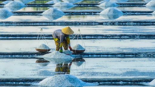  Vẻ đẹp của 'Cánh đồng muối Sa Huỳnh'