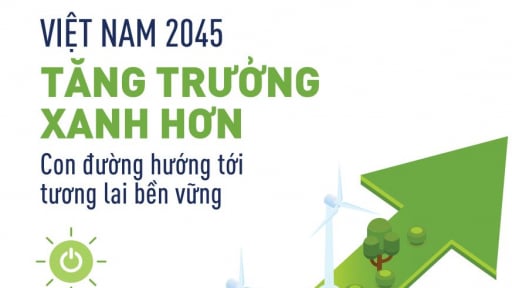 Báo cáo Việt Nam 2045 - Tăng trưởng Xanh hơn: Con đường Hướng tới Tương lai Bền vững