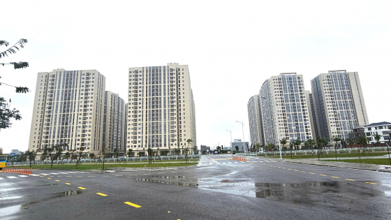  Đất nền hay chung cư dẫn dắt thị trường?