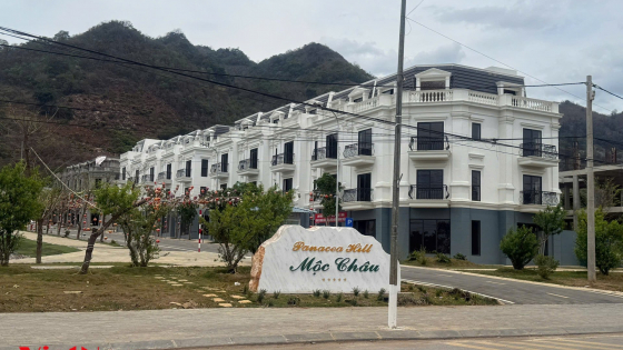 Đón cao tốc 10.000 tỷ nối về Hà Nội: Bất động sản Mộc Châu tăng dần sức nóng