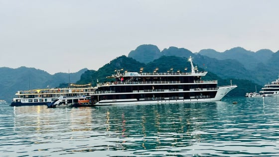 Tàu du lịch bị dừng hoạt động vì khách dùng chai nhựa 1 lần trên Vịnh Hạ Long