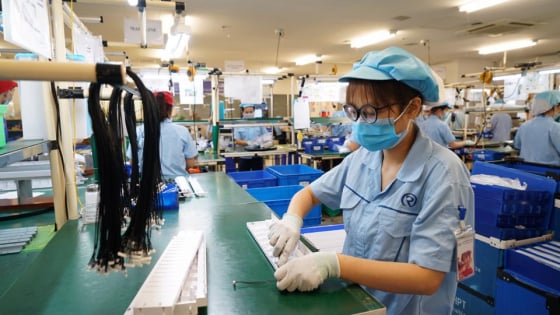 'Xây dựng hệ sinh thái chính sách tài khóa hỗ trợ doanh nghiệp tư nhân'