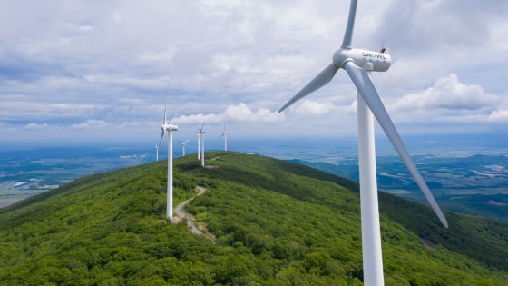 Tài chính xanh cho Net-Zero: Cơ hội của Việt Nam nhìn từ kinh nghiệm thế giới