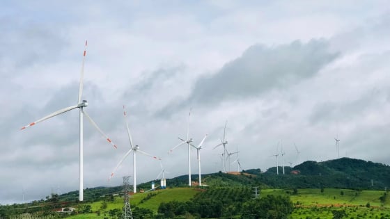 Quảng Trị: Đầu tư thêm hai dự án điện gió, tổng vốn 3.000 tỷ đồng