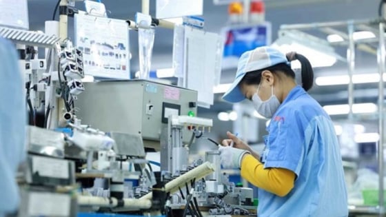 Số doanh nghiệp thành lập mới tăng vọt trong tháng 6