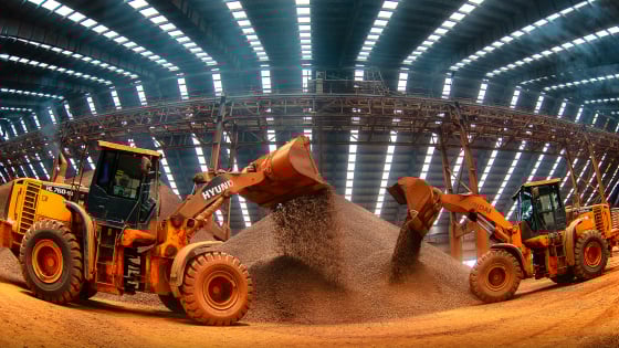Đánh thức những miền đất: Đánh thức tiềm năng vùng đất đỏ bazan